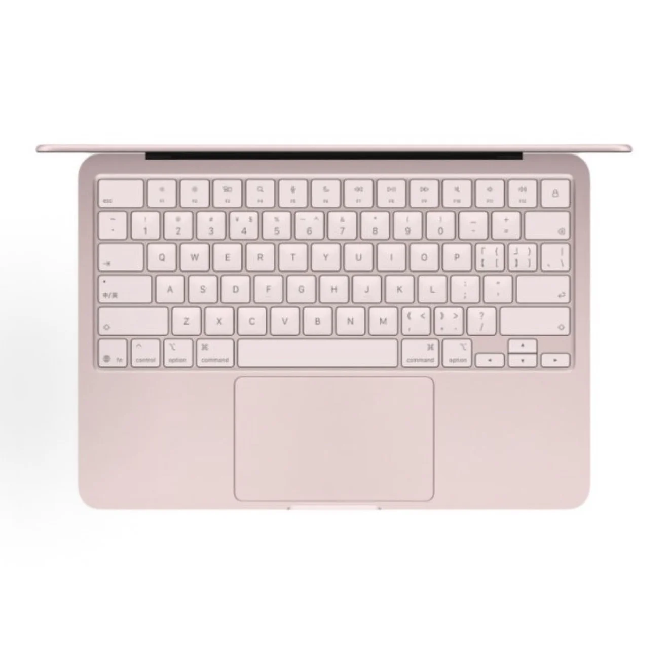 Ноутбук Apple MacBook Neo 2026 / A18 Pro (6-core CPU, 5-core GPU) / 8 ГБ / 512 ГБ / Румянец (Blush)